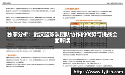 独家分析：武汉篮球队团队协作的优势与挑战全面解读