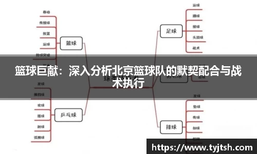 篮球巨献：深入分析北京篮球队的默契配合与战术执行