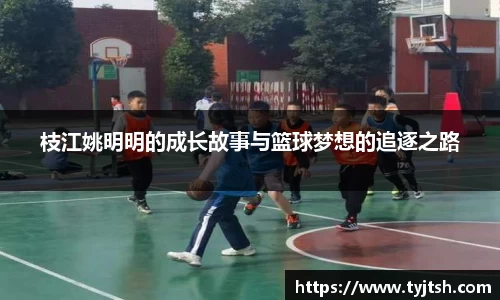米乐m6
